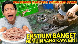 EKSTRIM BANGET! ULAR COBRA DIMAKAN DAN DIMINUM DARAHNYA! KOK ADA YA YANG KAYA BEGINI?!
