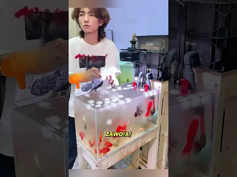 Chłopak Nie Mógł Uwierzyć Własnym Oczom! 😱 #shortvideo #viral