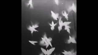 Caroline Polachek - The Gate (nthng's Safe Haven)