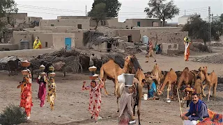 The Most Beautiful  Pakistani Village Life || Old Village Lifestyle in Punjab