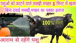 पशुओं को काटने वाले मक्खी मच्छर का खात्मा fly and mosquito killer |  cattle fly control makhi machar