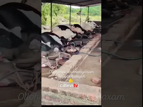 Egalariga sabr tilaymiz