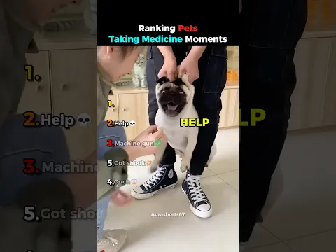 Ranking Pets Taking Medicine Moments