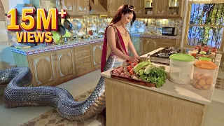 इच्छाधारी नागिन ने खाने में मिलाया अपना विष | Icchapyaari Naagin | New Naagin Episode 2024