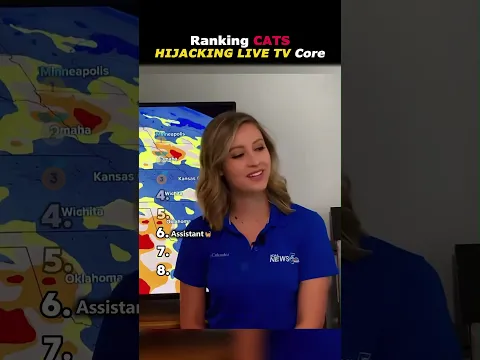 Ranking CATSHIJACKING LIVE TV Core 📺🐈🤣