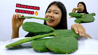 MUKBANG KAKTUS