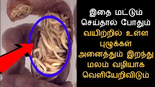 இதை மட்டும் செய்தால் போதும் வயிற்றில் உள்ள புழுக்கள் அனைத்தும் இறந்து மலம் வழியாக வெளியேறிவிடும்