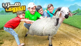 خروف عيد الاضحى هرب ! 😂🐑