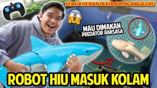 ROBOT HIU MASUK KOLAM MENGGANGGU HEWAN KOLAM! HIU REMOT MAU DIMAKAN IKAN PREDATOR RAKSASA KOLAM!