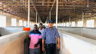 Update: A working visit to the 105 thousand capacity fish farm we constructed in Imo state,Nigeria