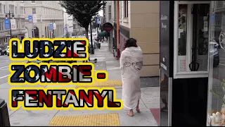 USA - SAN FRANCISCO - PROBLEM BEZDOMNOŚCI I DRAGÓW W STANACH🇺🇸
