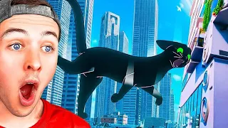 Lost as LITTLE KITTY in a BIG CITY!