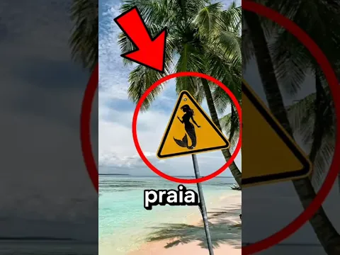 Nunca nade na praia se você vir isso⚠️