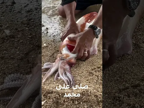 اكبس على الاشترك 🎬 جزاكم الله خيرا 🤍🤍 وضع 👍🏻 👍🏻