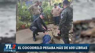 AVISTAMIENTO DE COCODRILOS EN LA COSTA DEL SOL | Teledos | El Salvador