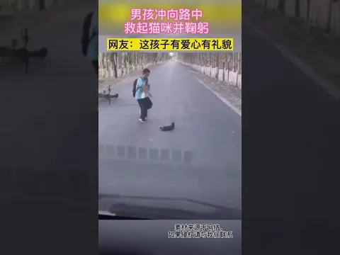 this kid saved a cat on the road #shorts Like ❤️👍🏼