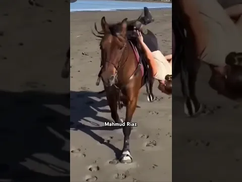 #horselov #caballos #horse #shortsfeed #cow #respecta #funny #animals #bull #duet #shortsvideo #cute