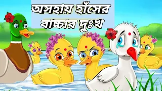 অসহায় হাঁসের বাচ্চার দুঃখ ||বাংলা কার্টুন ভিডিও||Bengali cartoon video #cartoon
