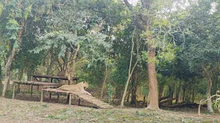 white tiger aap ne dekha hai#shorts#ytshorts