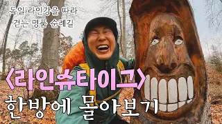 중부 유럽 라인강의 기적, 독일 라인슈타이그를 걷다! (풀버전)