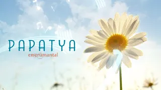 PAPATYA ♫ Fon Müziği (Instrumental)