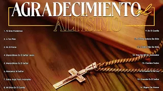 Las Mejores Canciones Cristianas para Alabar y Adorar a Dios Cada Día(Vol.22)