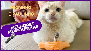 MELHORES MUSIQUINAS COM PEDRINHO E PAULINHO - COMPILADO DE PARODIAS PART. 1