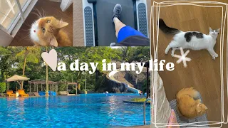 Another day in my life vlog