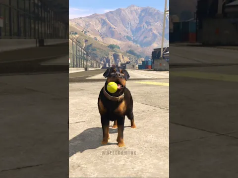 Dog Chop waiting for his Owner at Airport GTA V Cinematic #shorts #heartwarming  #animals