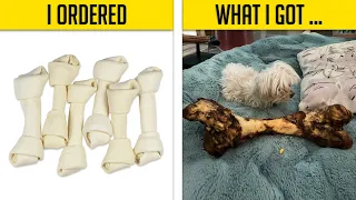 Funny Online Shopping Fails 😭