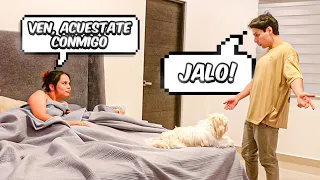 YAIR17 ME ENCUENTRA EN SU CAMA EN LA MADRUGADA Y LO INVITO A QUEDARSE CONMIGO - Barbie Pvm