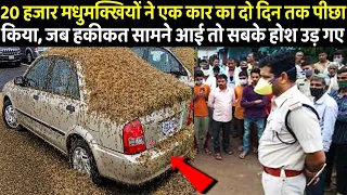 20 हजार मधुमक्खियों ने एक कार का दो दिन तक पीछा किया, हकीकत सामने आई तो सबके होश उड़ गए