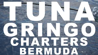 Tuna Fishing aboard Gringo Charters