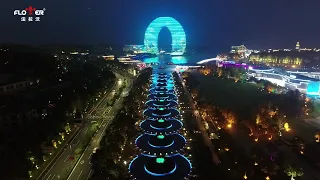 2022 Annual Flower Brand Classic Outdoor LED Illumination Project Collection#projectlighting #lights