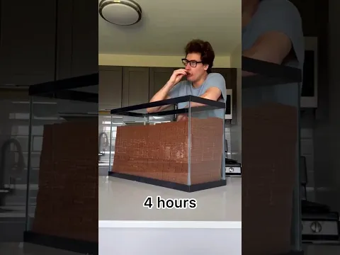 1,000 Feastables Challenge 💀🍫