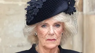 Camilla's Dramatic Reaction To A Reconciliation With Harry