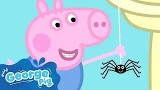 George Finds A SPIDER 🕷️ He Scares Peppa! 🐽 Peppa Pig Full Episodes
