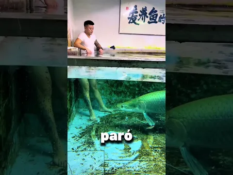 “El pez tranquilo que esconde un instinto letal”