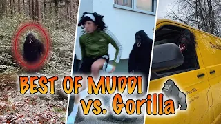 Best of Muddi vs. Gorilla 😳🦍 MauriiPastore