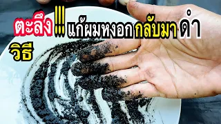ตะลึงแชร์!!!เจอแล้ววิธีแก้ผมหงอกผมขาวผมร่วงหัวล้านกลับมาผมดำดกแข็งแรงด้วยวิธีธรรมชาติ100%แม่ก้อยพาทำ