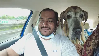 Eva Ke Sath Ab Tak Ka Sab Se Lamba Safar..! 🐕 🐾