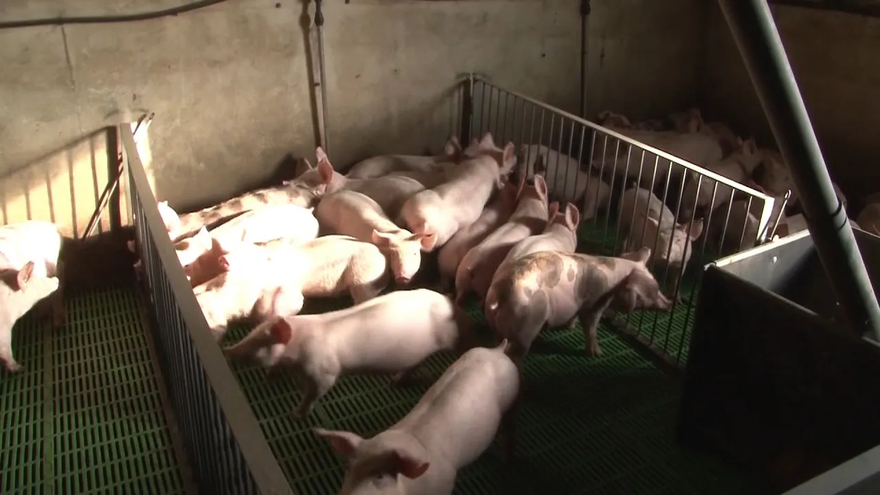 El 9 Informatiu – 4-12-25