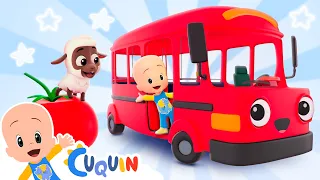 El bus comilón: aprende colores y animales con Cuquín 😊🚍 Caricaturas y dibujos animados para bebés