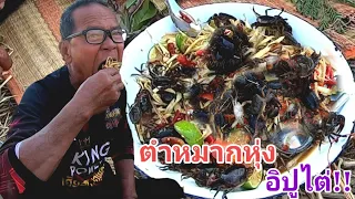 ตำหมากหุ่งอิปูไต่!! โพดโพมีโตแต่งามๆ กินเมี่ยงเล่นคำใหญ่ๆ ม้วนผักท่งไฮ่ท่งนา แซบคัก!!