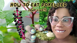 I ate Pokeweed... and I'm still alive!