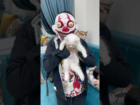 نورا حرامي سرق منها القطه❗️🐈😿🙇🏻‍♀️ خباها جوه الشنطه🙀🎒 #وناسة #مريومة #القطة