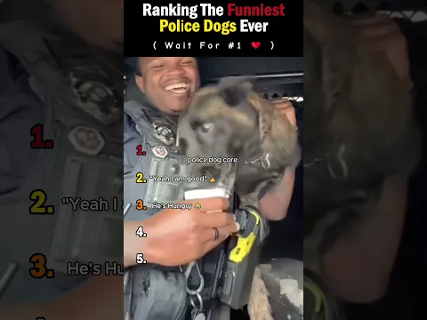 Ranking The Funniest Police Dogs Ever