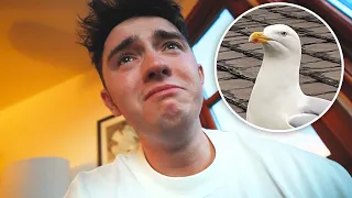 Glen Murió :(