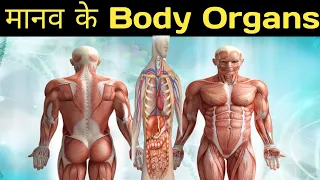 Humane ke Body organs ko 3D dekh sakte hai #Skeleton_system #Liver #kidney