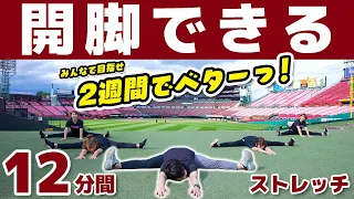 開脚できるようになるストレッチ！180度も余裕！超柔らかいプロのチアリーダー「東北ゴールデンエンジェルス」と一緒にやってみた